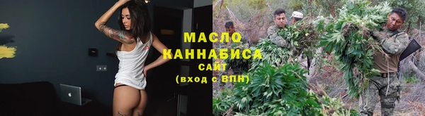 индика Каменногорск