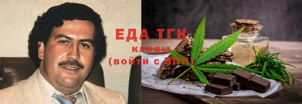 индика Каменногорск