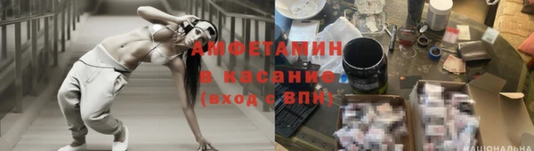 индика Каменногорск