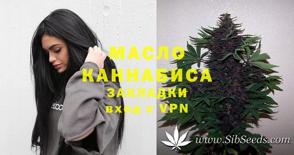 индика Каменногорск