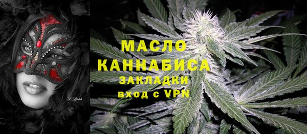 индика Каменногорск