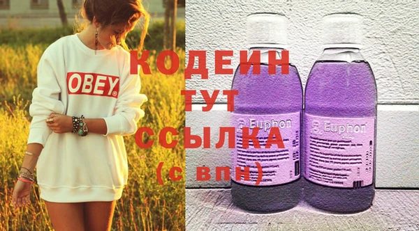 индика Каменногорск