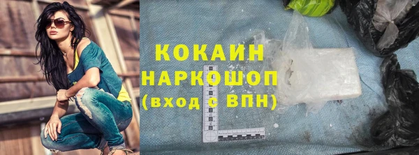 индика Каменск-Шахтинский