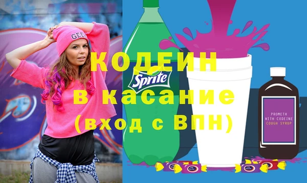 индика Каменногорск