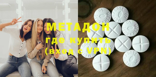 индика Каменногорск