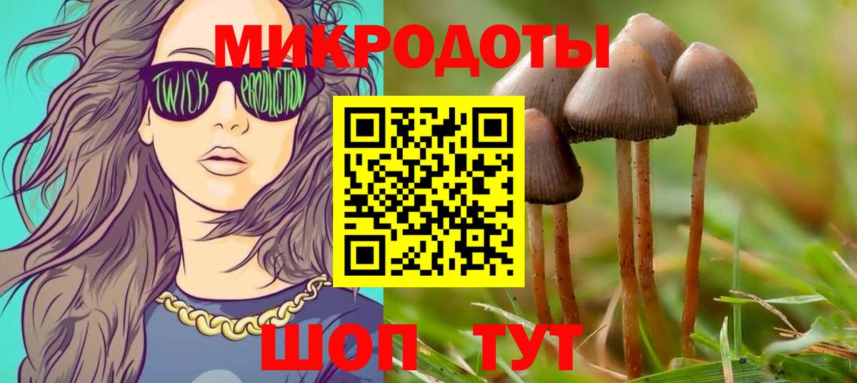 Галлюциногенные грибы Cubensis Реутов